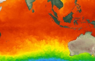 La température à la surface de l’Océan Indien pourrait permettre de mieux anticiper les épidémies de dengue