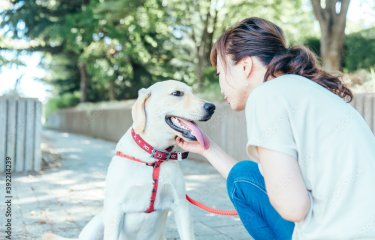 Quand chiens et humains trouvent un langage commun